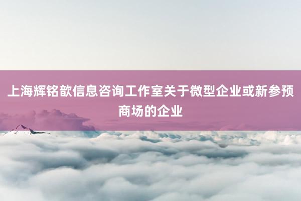 上海辉铭歆信息咨询工作室关于微型企业或新参预商场的企业